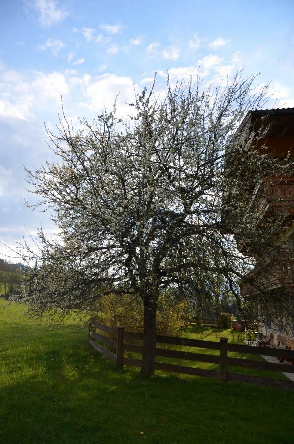 Villa Aubauer Bischofshofen Exterior foto